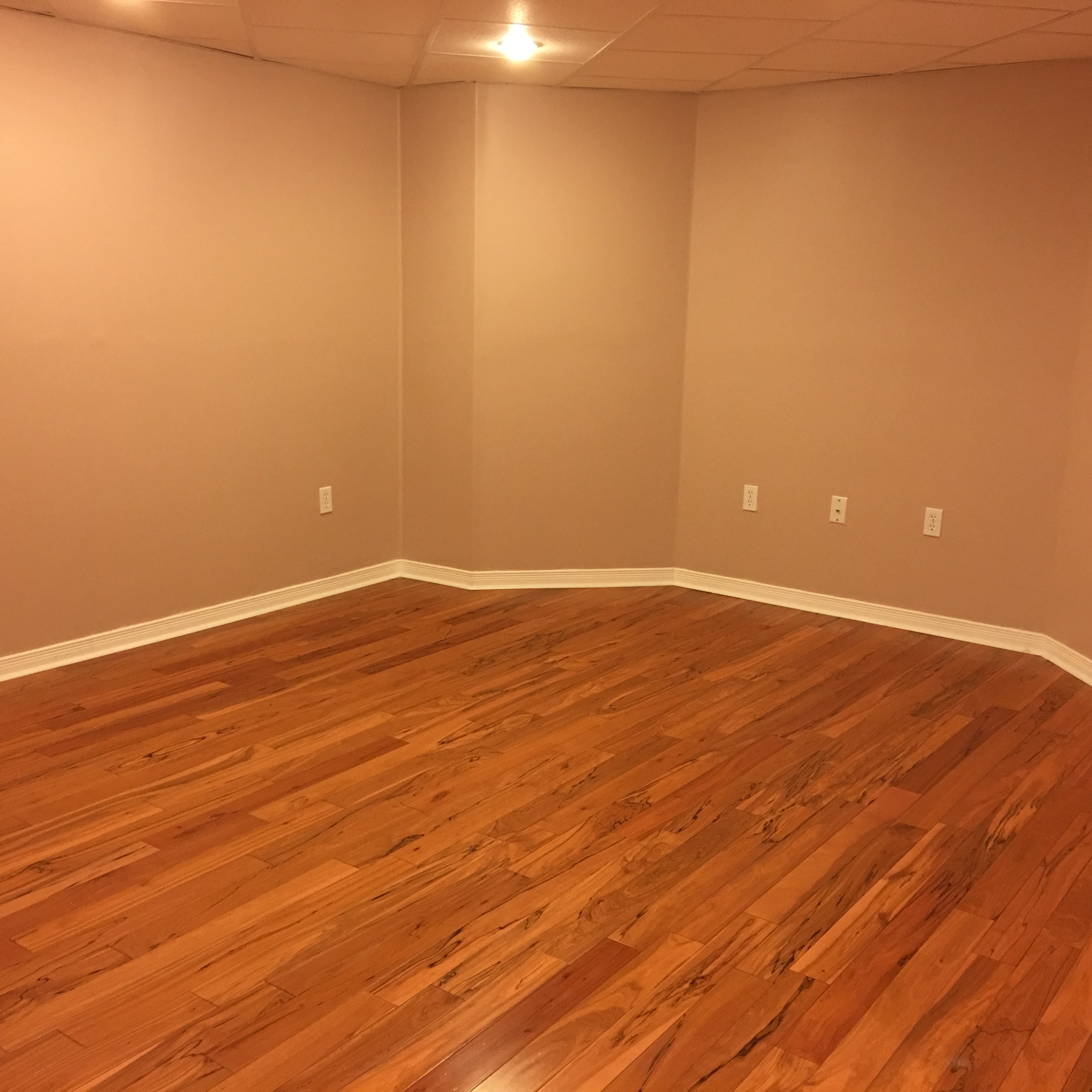 Basement recreation room